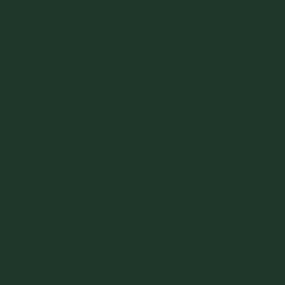 2mm Fir Green ABS Edging Tape- 10m