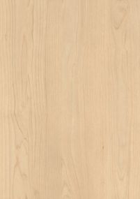 H1732 Sand Birch Sample