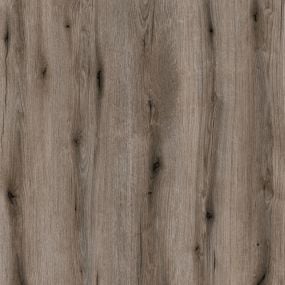k366 Fossil Evoke Oak