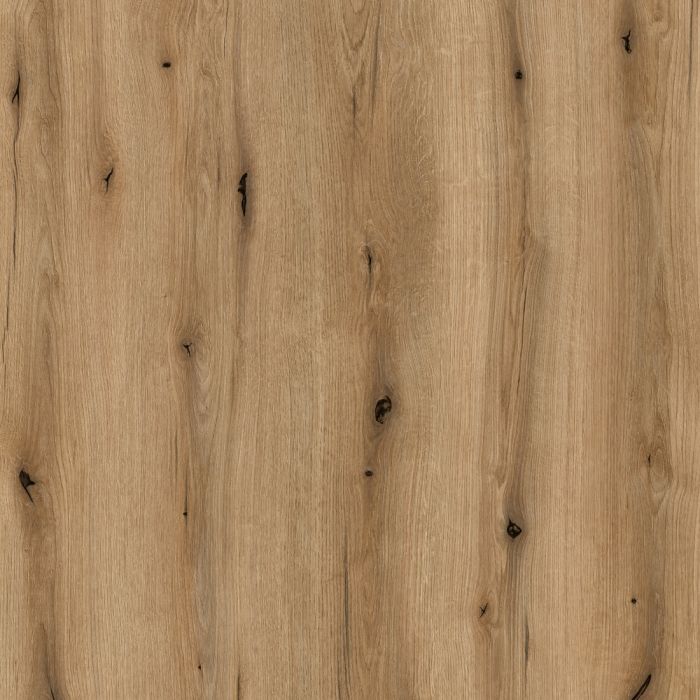 Coast Evoke Oak Sample