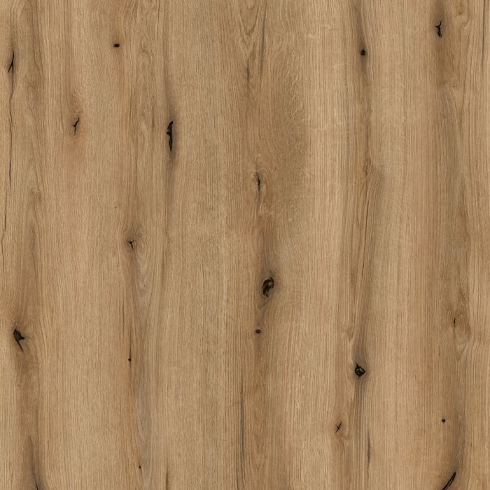 Coast Evoke Oak Sample