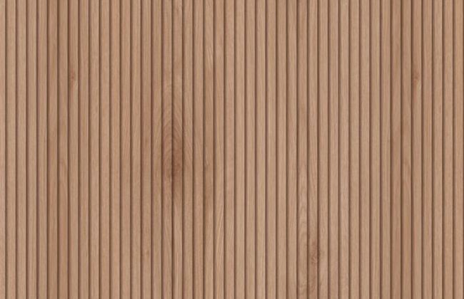 Natural Canella Strata Sample